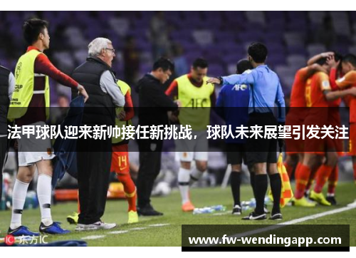法甲球队迎来新帅接任新挑战，球队未来展望引发关注