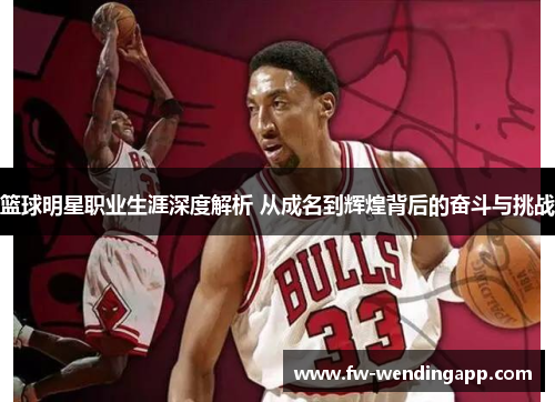 篮球明星职业生涯深度解析 从成名到辉煌背后的奋斗与挑战