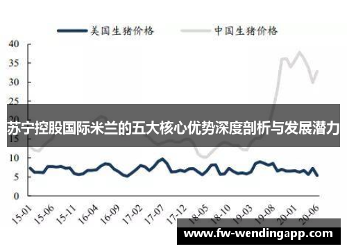 苏宁控股国际米兰的五大核心优势深度剖析与发展潜力