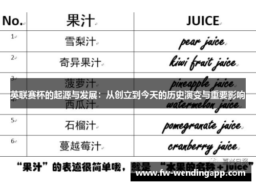 英联赛杯的起源与发展：从创立到今天的历史演变与重要影响