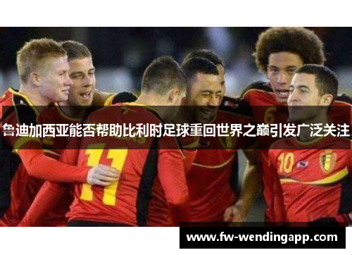 鲁迪加西亚能否帮助比利时足球重回世界之巅引发广泛关注 鲁迪加西亚能否帮助比利时足球重回世界之巅引发广泛关注